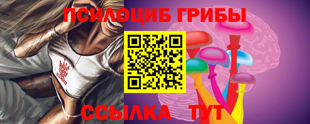Псилоцибиновые грибы мицелий  Вход с VPN  Янаул 